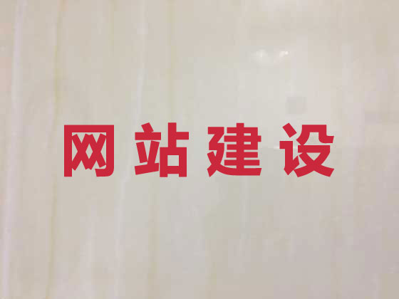 射阳县网站开发公司